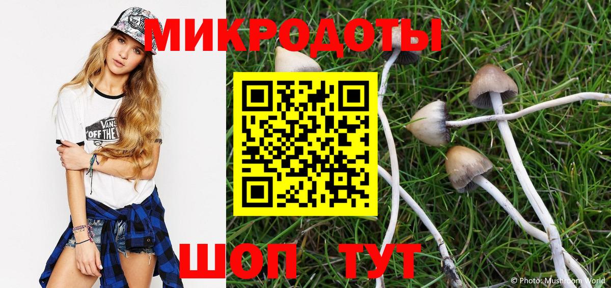 где купить наркотик  Псилоцибиновые грибы MAGIC MUSHROOMS  Вход с VPN  Шадринск  Псилоцибиновые грибы Cubensis 