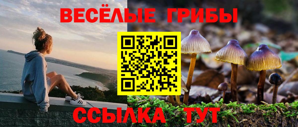 Галлюциногенные грибы мицелий Шадринск